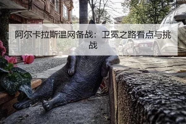 a-er-ka-la-si-wen-wang-bei-zhan-wei-mian-zhi-lu-kan-dian-yu-tiao-zhan-2-351.jpg